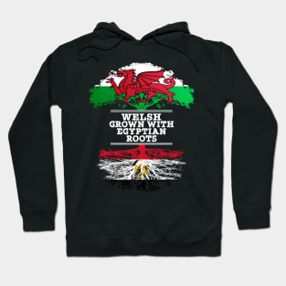 Welsh Grown With Egyptian Roots - Gift for Egyptian With Roots From Egypt Hoodie